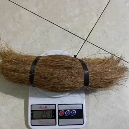 COCO BRISTLE 250gr | Sabut Tebal kelapa Kering | Sabut kelapa | Sapu