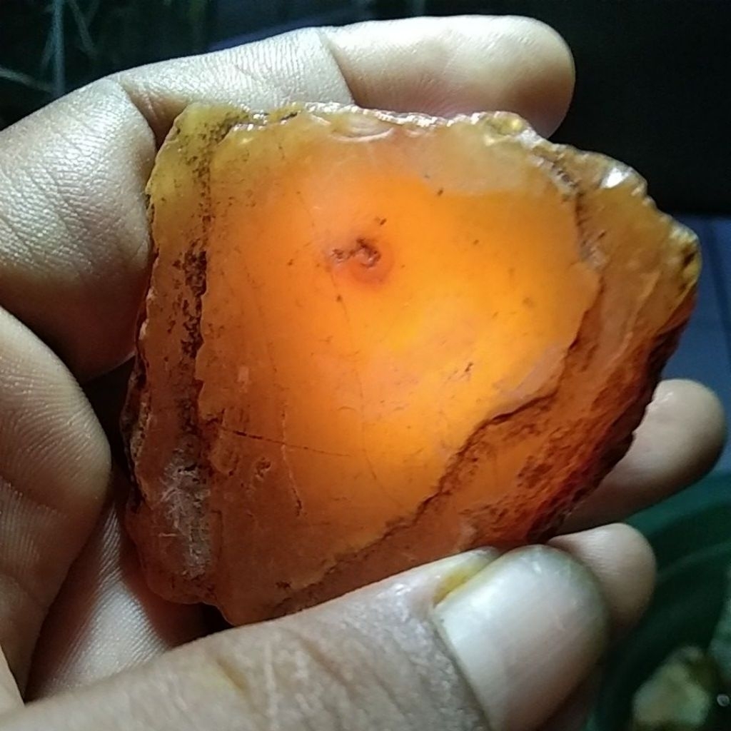 BATU RAFLESIA BENGKULU