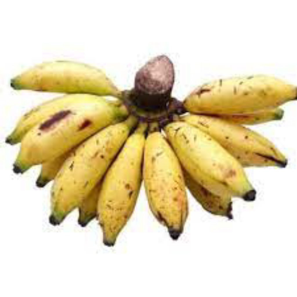 

pisang mas per kg