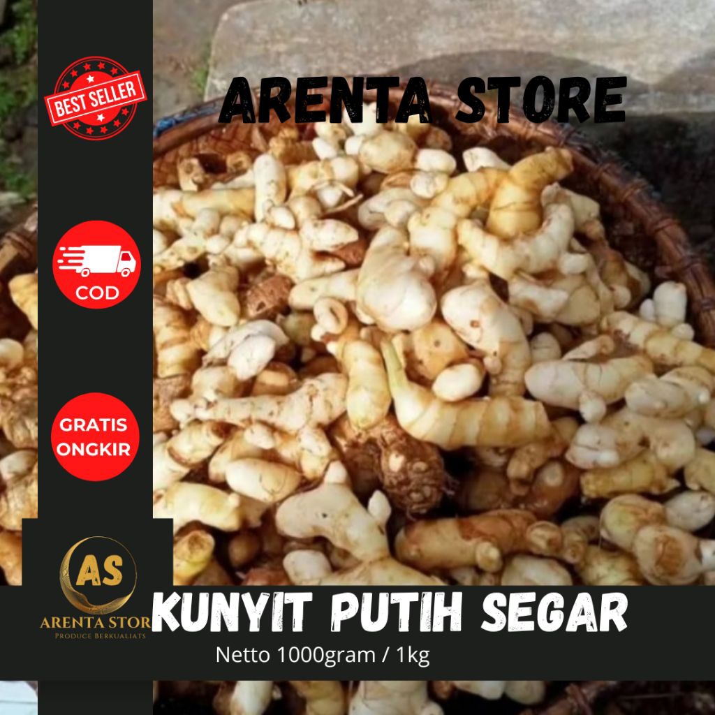 

KUNYIT PUTIH SEGAR CURCUMA ZEDOARIA 1KG