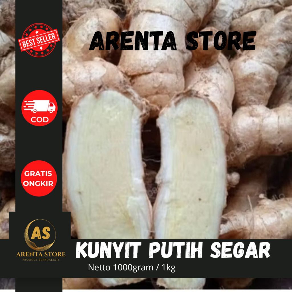 

Kunyit putih segar - temu putuh segar 1kg