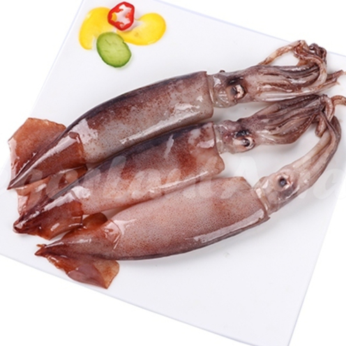 

Cumi Segar 1Kg Cumi Tube Cumi Kondom