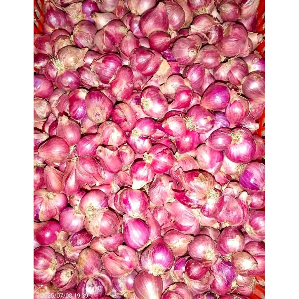 

bawang merah kering asli probolinggo, ukuran sedang/tanggung, Berat 500g-1kg