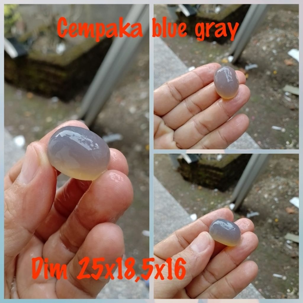 polkas anggur biru bluesky waykanan