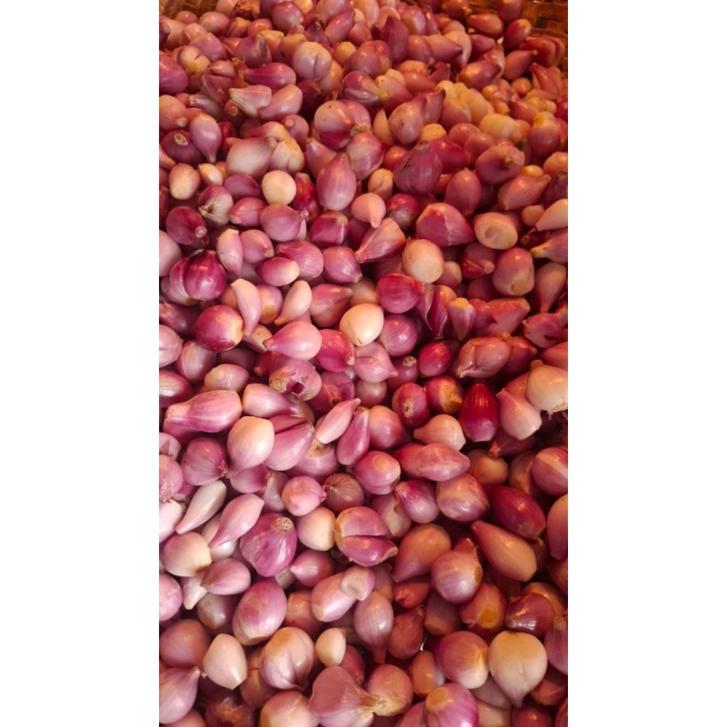 

Bw.Merah/kupas/iris/Goreng