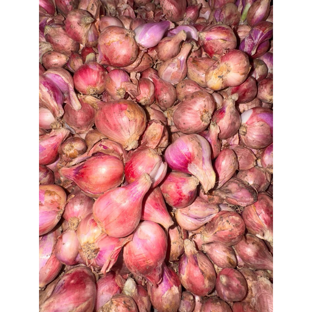 

Bawang Merah 250 Gram