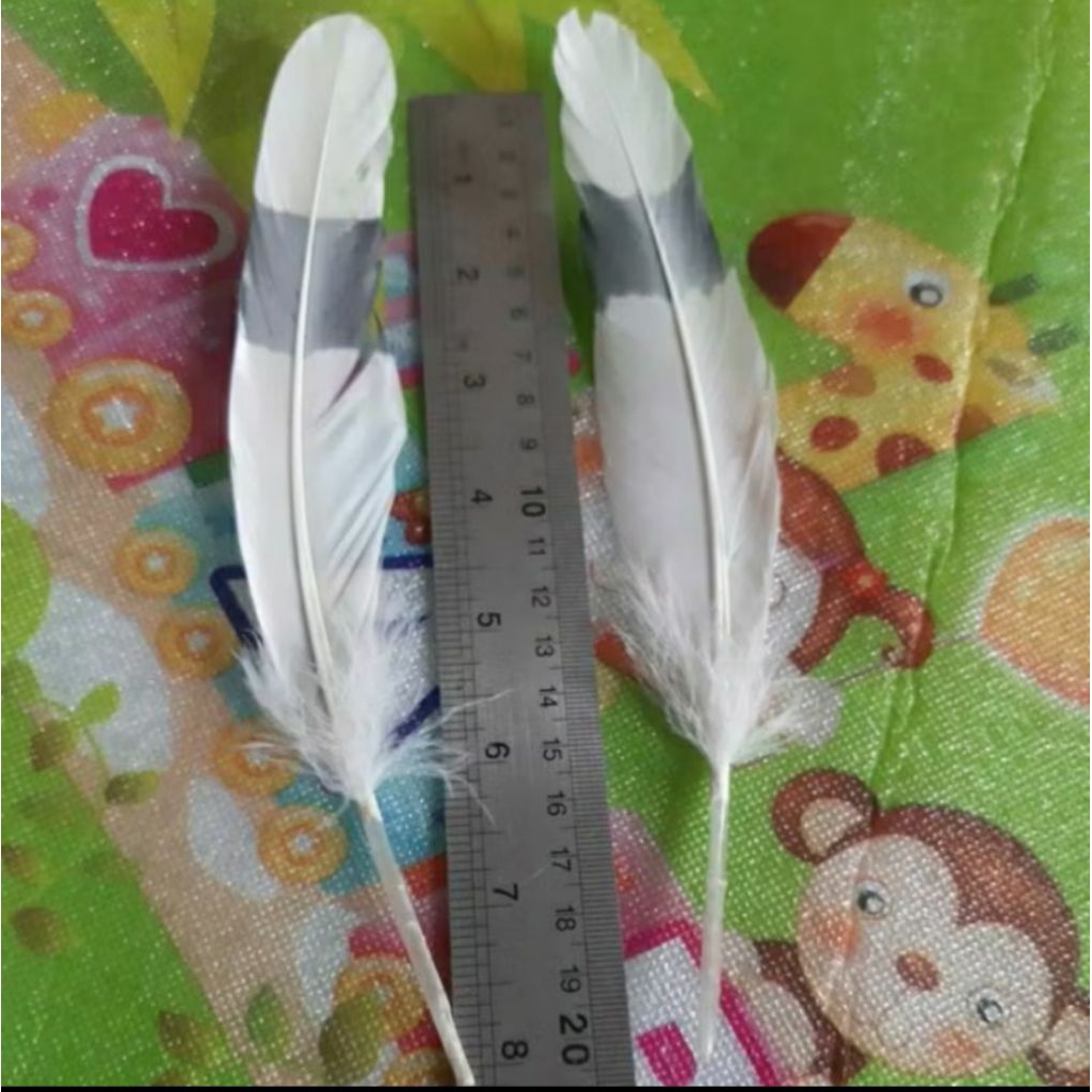 BULU ORNAMEN/10 HELAI