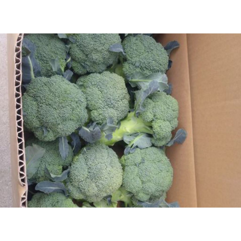 

brokoli import 500gram