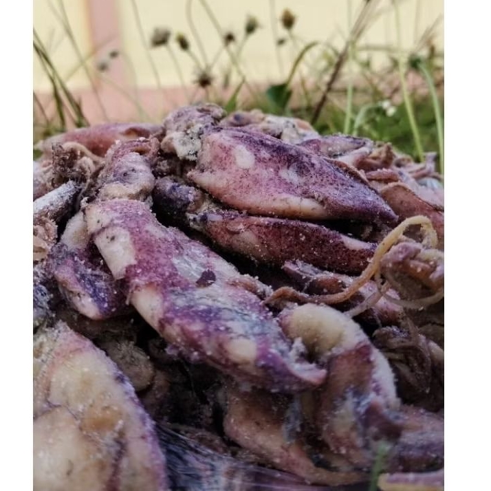 

IKAN CUMI ASIN * Original Premium 100gr*