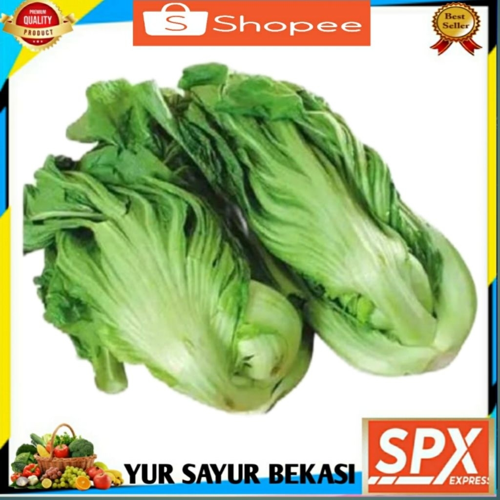 

Sawi Pait/Pahit Per ikat.