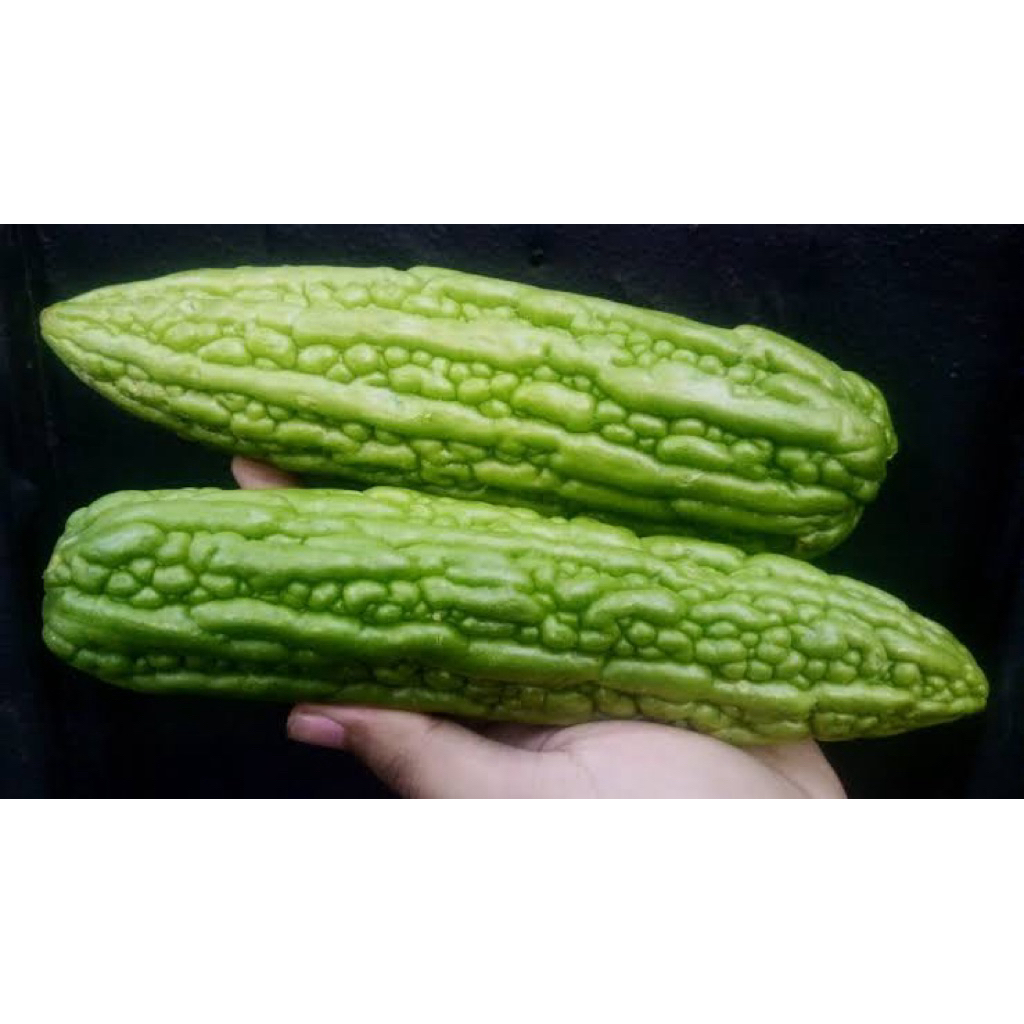

SAYUR PARE 400-500 GRAM / 36 FRESH PALEMBANG