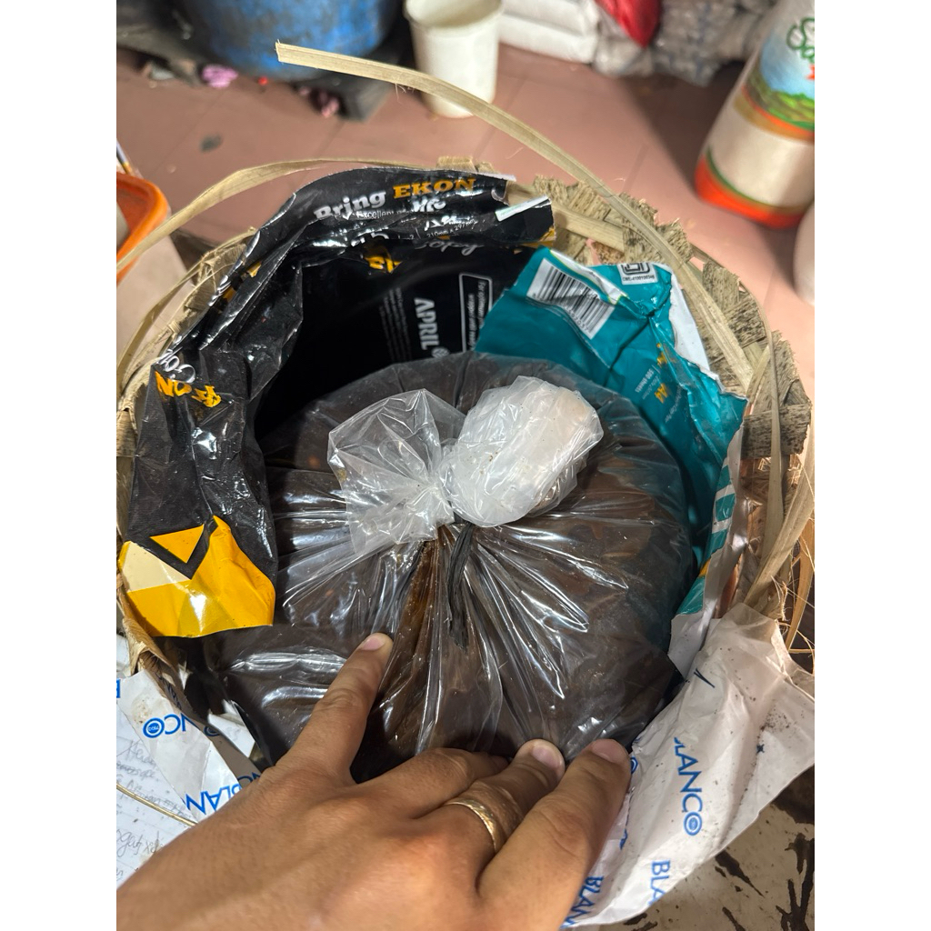 

Tauco Keranjang Cokelat Kental Medan 8kg