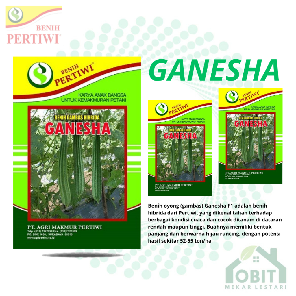 Benih GAMBAS Hibrida GANESHA Isi 10 Gram Cap Benih Pertiwi / Benih GAMBAS ATAU OYONG