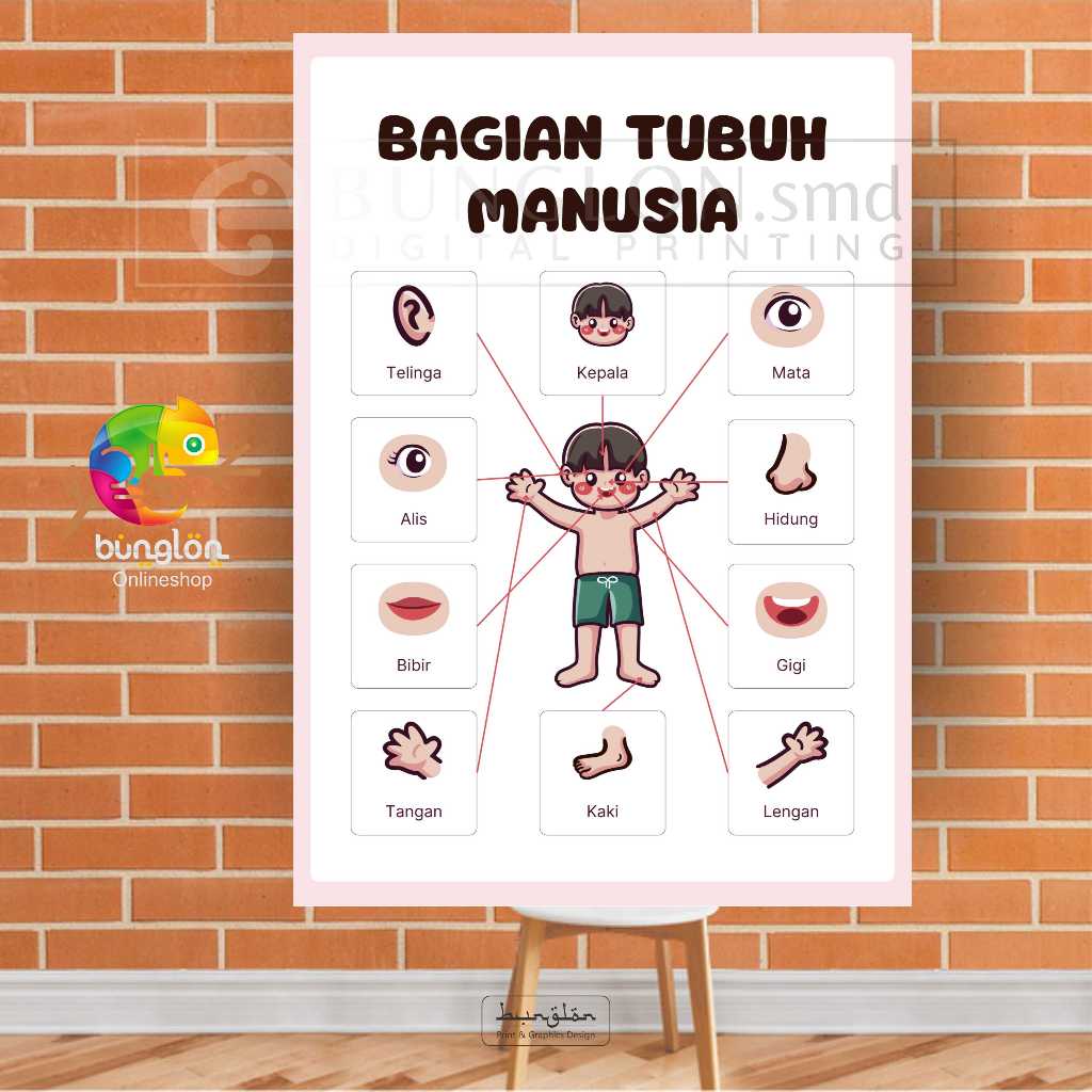 

Poster Bagian Tubuh Manusia