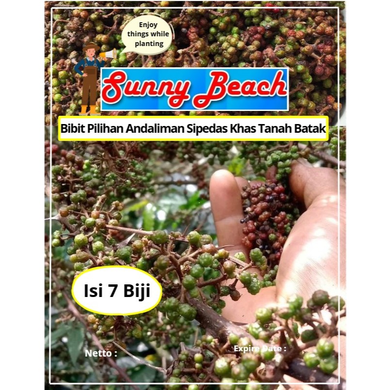 Bibit Pilihan Andaliman Sipedas Khas Tanah Batak | Biji Benih Andaliman | Andaliman
