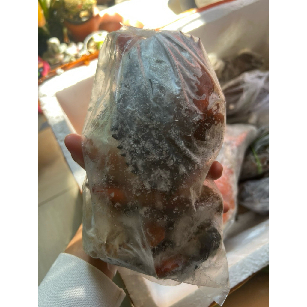 

KEPITING FROZEN SIAP MASAK 1 PACK