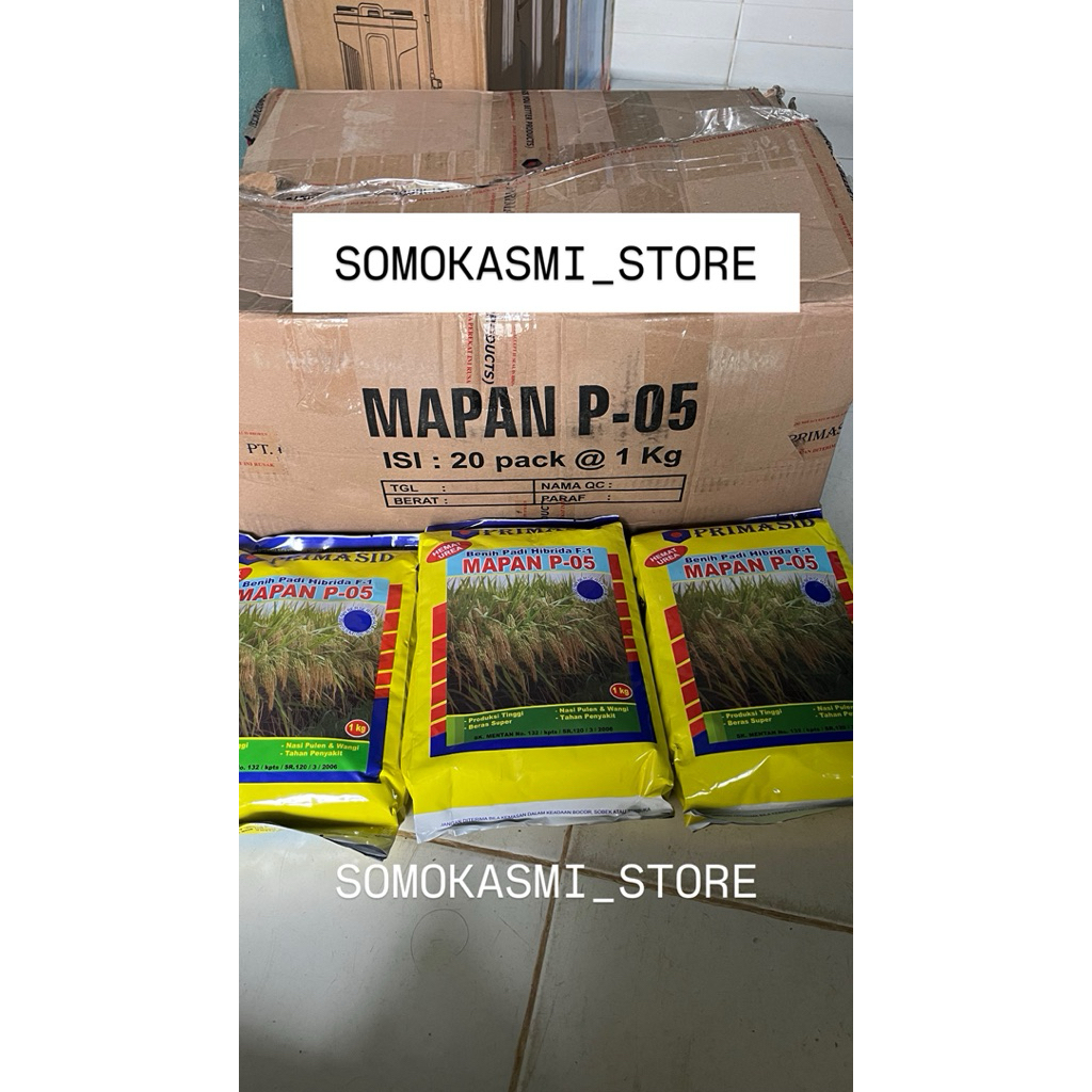 BENIH PADI MAPAN HIBRIDA-BENIH MAPAN P05 ORIGINAL-PADI MAPAN P05