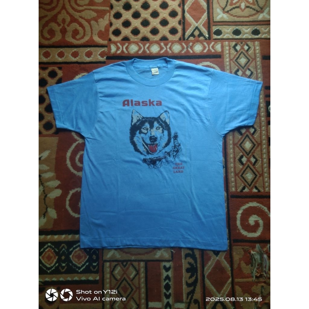 Ts.Screen stars.Vtg USA(size.L:53"x 73")