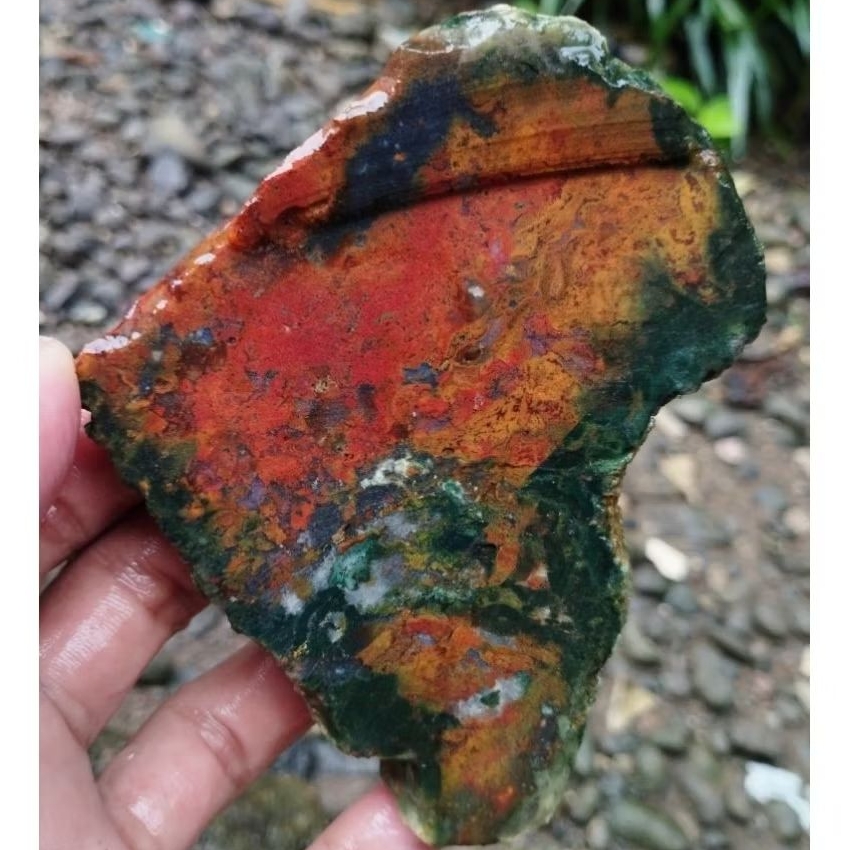 suiseki batu alam bahan batu akik lempengan panca warna kembang multi warna istimewa natural sesuai 