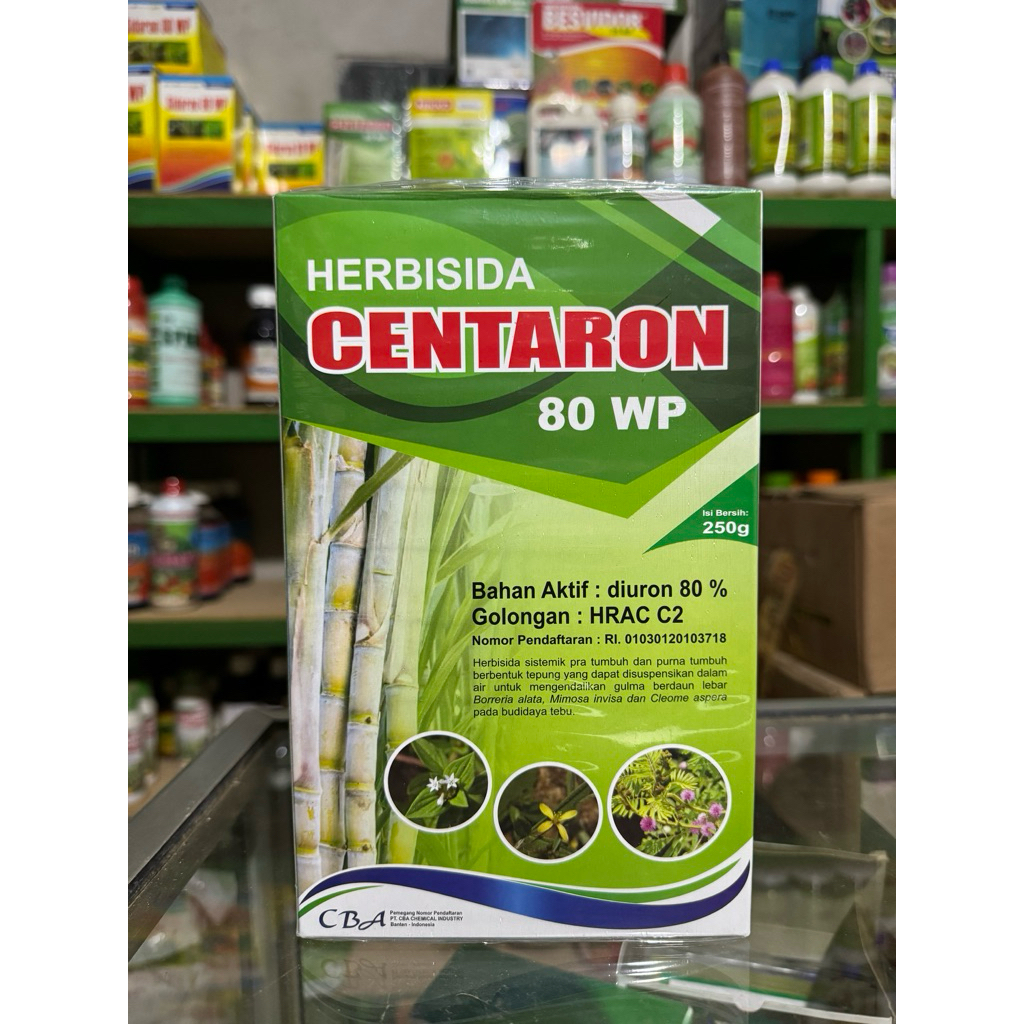 Herbisida CENTARON 80 WP 250 gram