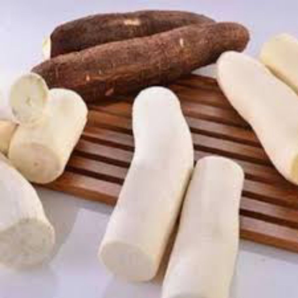 

Ubi singkong Ubi kayu, ubi roti, ubi enak, ubi empuk ,ubi singkong termurah