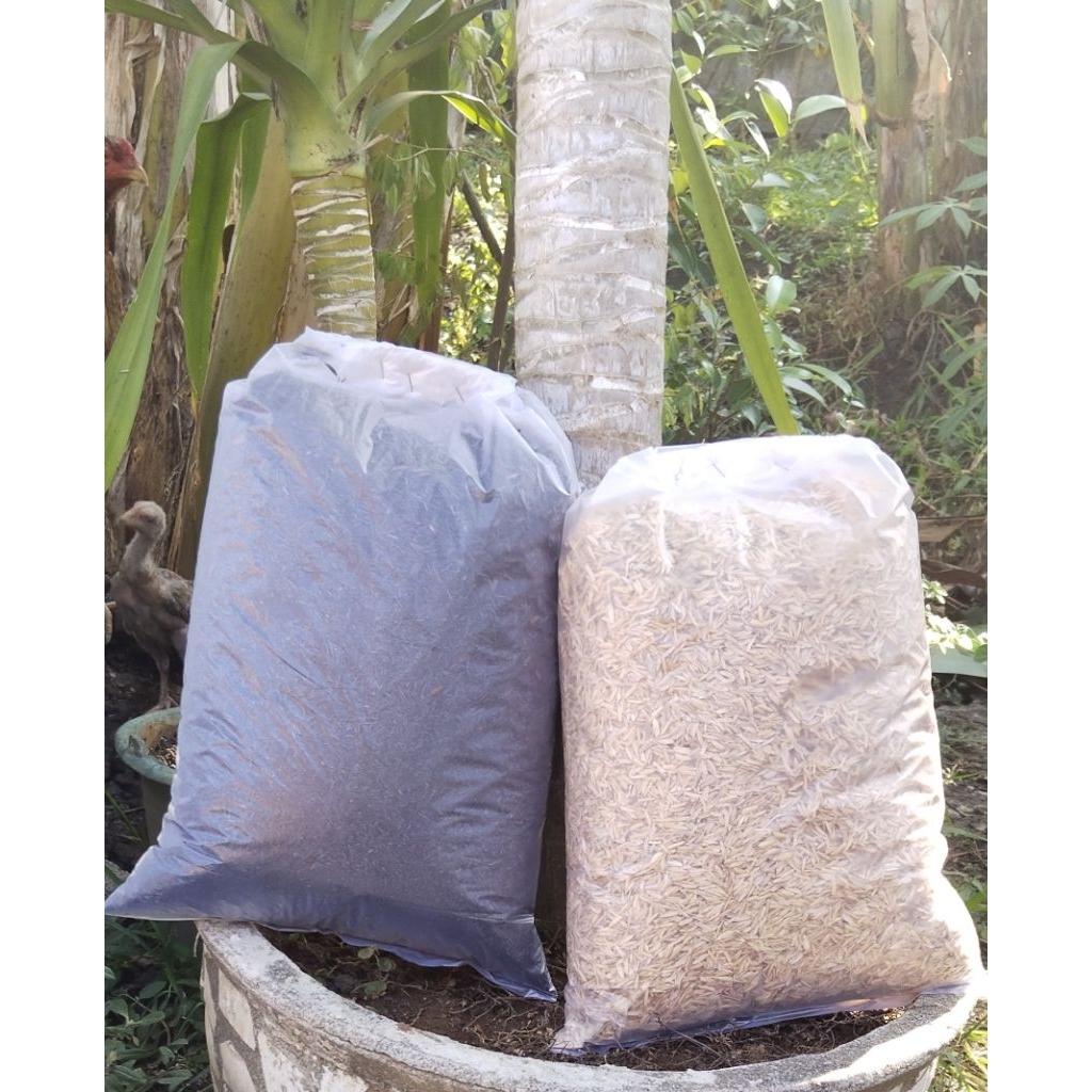 Paket Sekam Bakar Sekam Padi Fermentasi