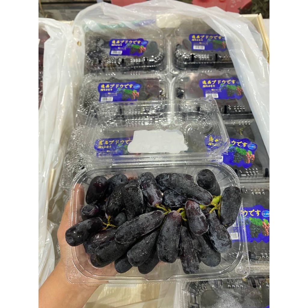 

Anggur Black Saphire CCASS -+500gr