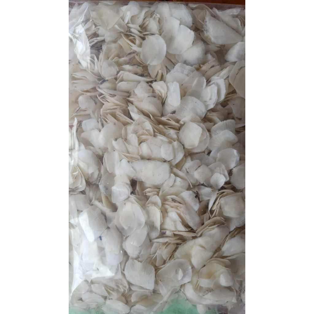 

Sisik Ikan Kakap 500Gram