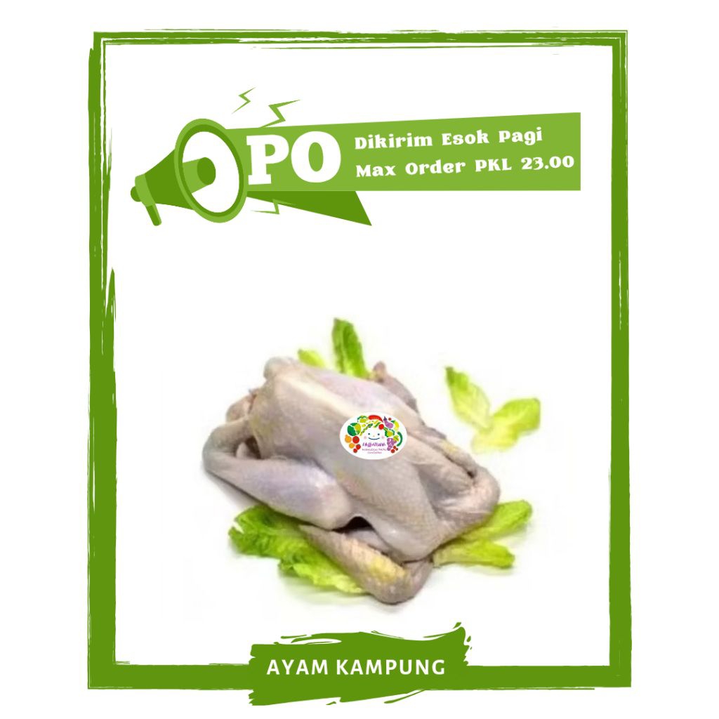 

Ayam Kampung / Ayam Pejantan / Ayam Sotoan Daging Segar PO Mallahrizwa