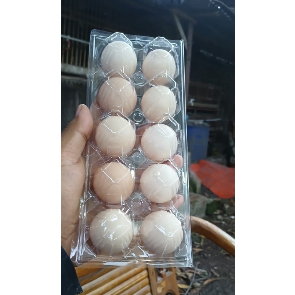 

Telur Ayam Kampung Asli [Kemasan 10 Butir] Packing Extra Aman