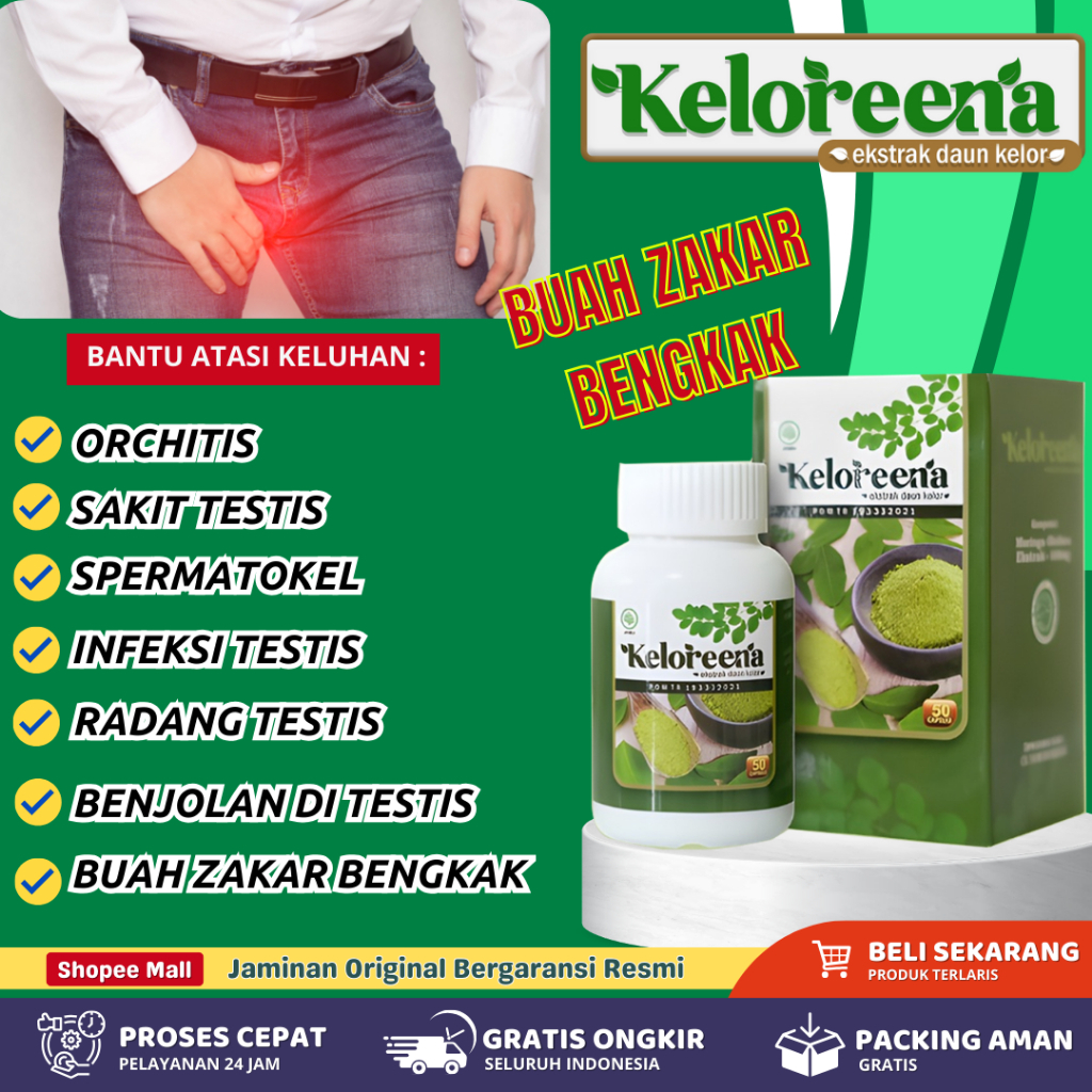 Obat Hernia Hidrokel Varikokel Buah Zakar Bengkak Keloreena 50 Kapsul