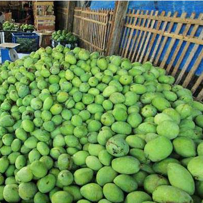 

Mangga Harum Manis Fresh Langsung Dari Petani | Mantul 1 Kg