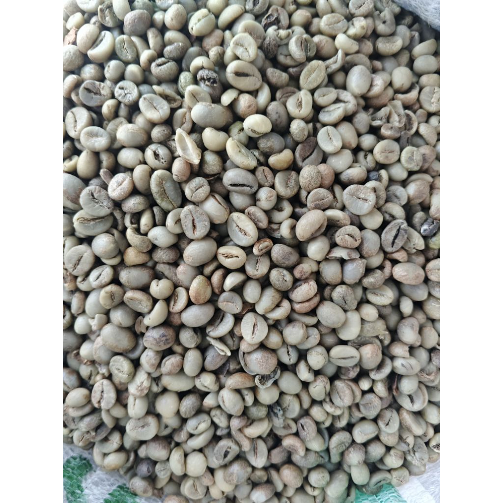

BIJI KOPI ROBUSTA MENTAH 1 KG