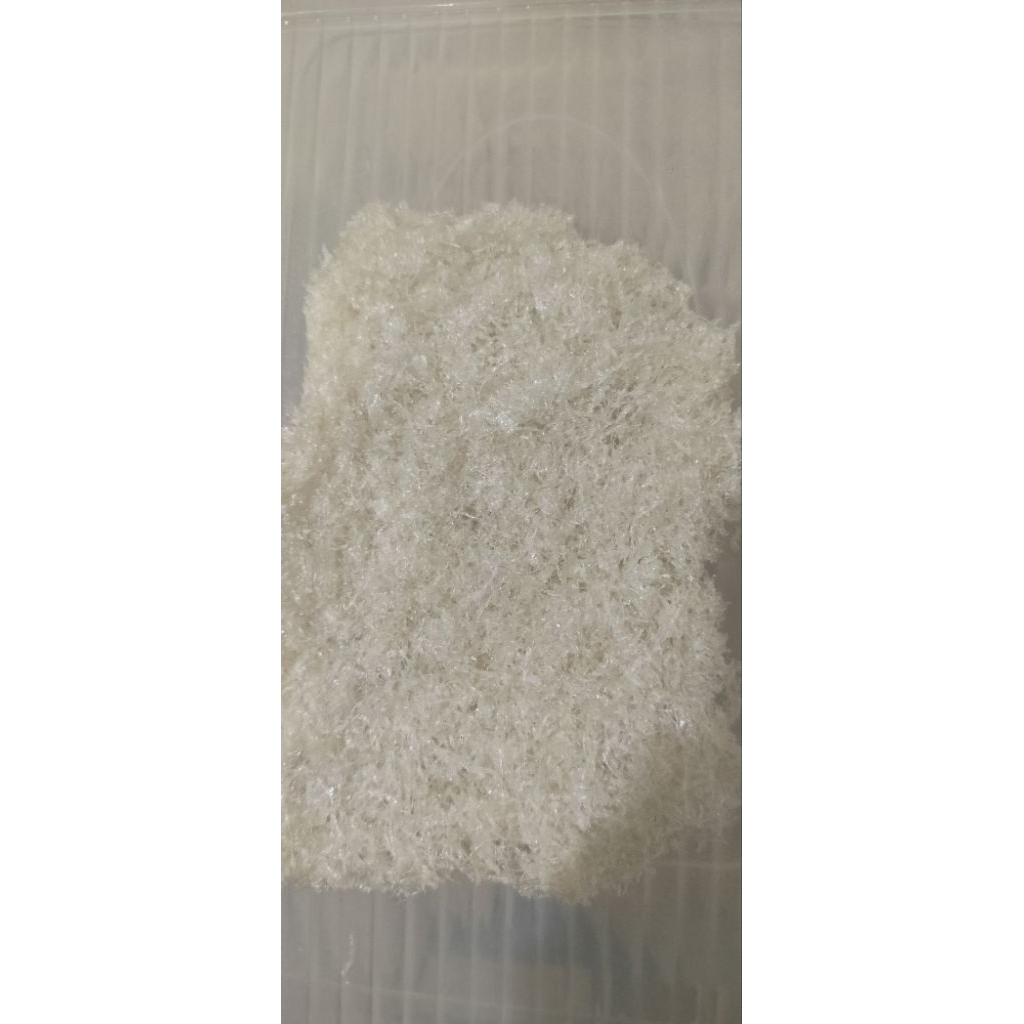 

Sarang Burung Walet Bersih / Hancuran