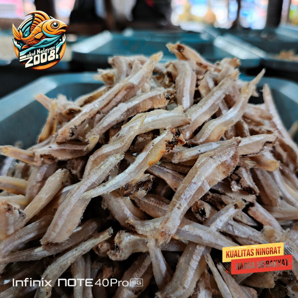 

Teri jengki | Ikan teri jengki | Ikan teri