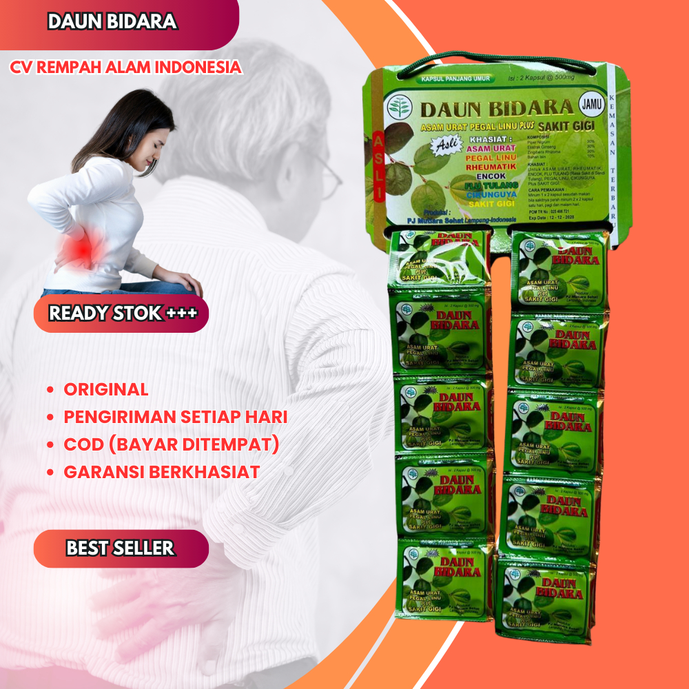 

Kapsul Asam Urat Daun Bidara Original Renceng 20 Sachet