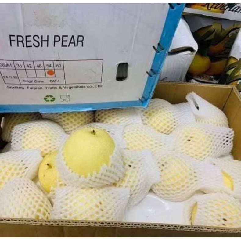 

BUAH PEAR CENTURY 1KG