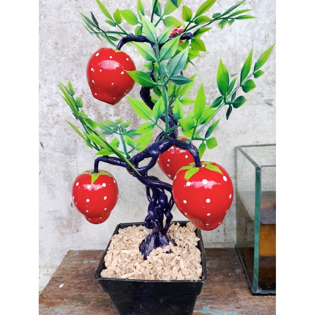 TANAMAN HIAS PLASTIK BUAH