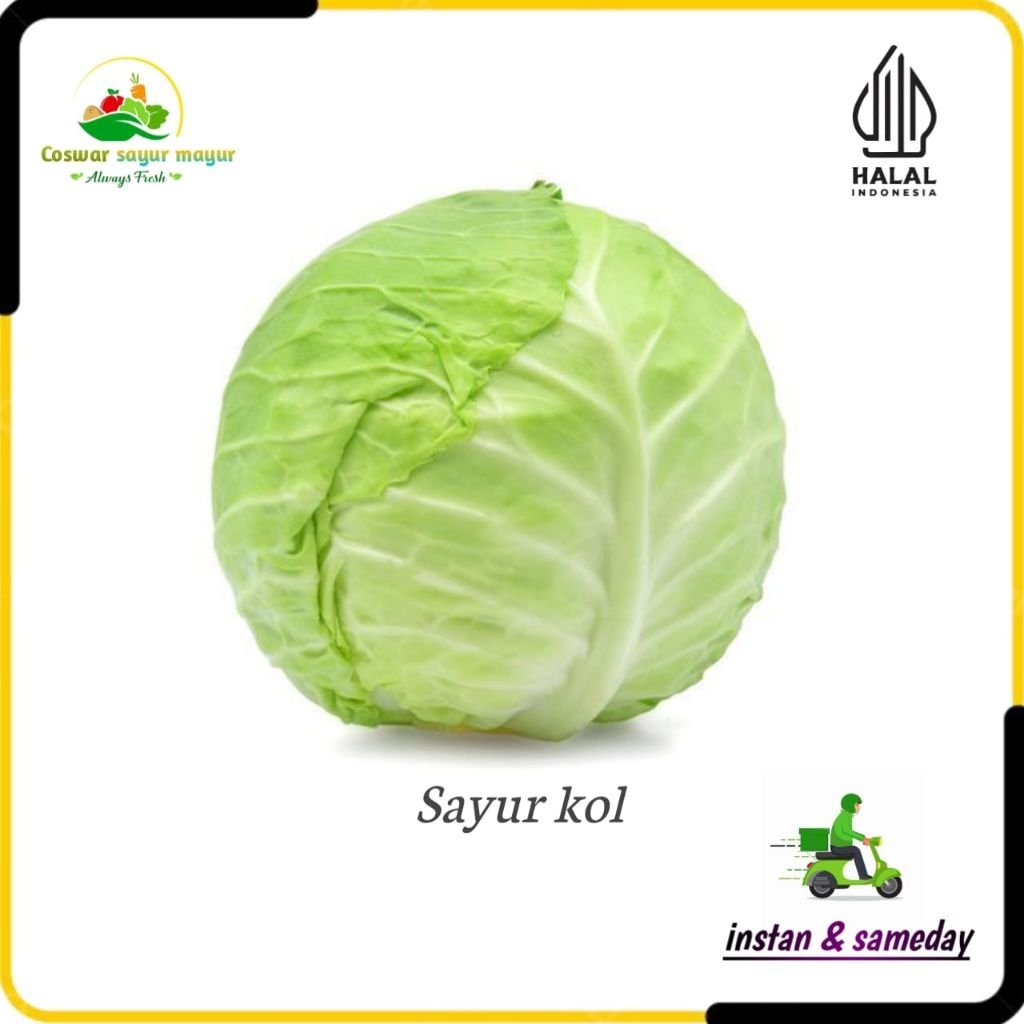 

sayur kol segar ( 1kg ) daun fresh untuk masakan/cocok tumis/lalapan/kol segar