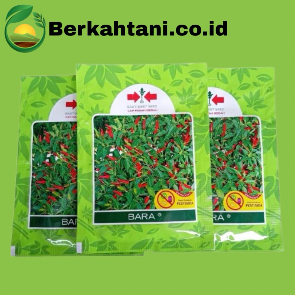 Bara 3200 Butir Benih Cabe Rawit Hijau Panah Merah Genie