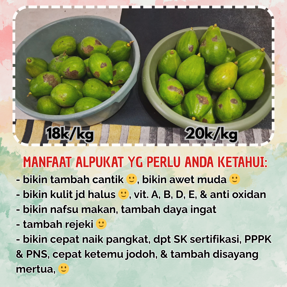 

Buah Alpukat Tua