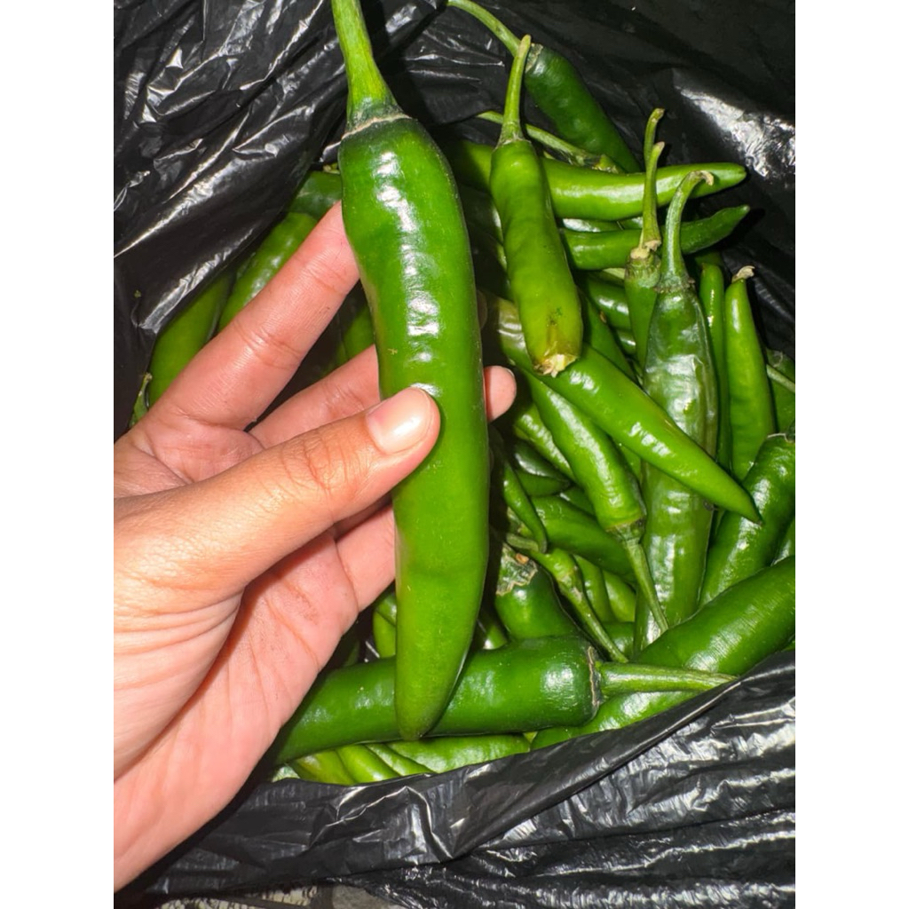 

Cabe Hijau Besar 250 Gram