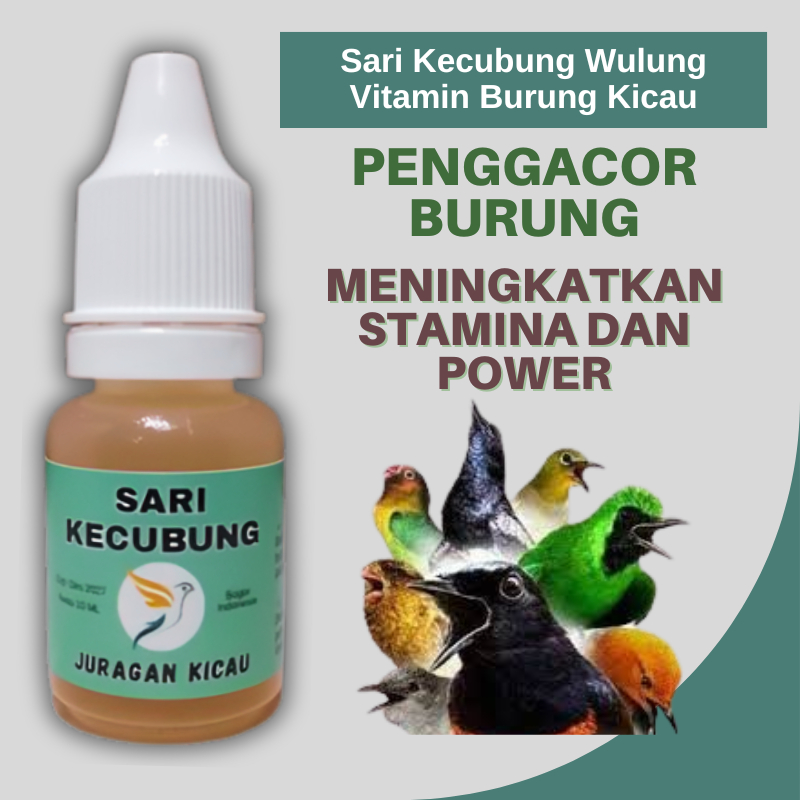 Sari Kecubung Wulung Original Untuk Pengggacor Semua Burung Kicau