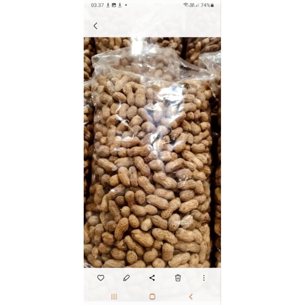 

kacang sangrai 1kg