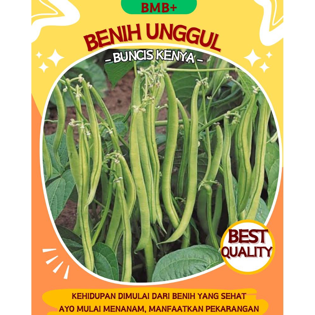 BMB+ 50 biji Buncis Kenya / Buncis Perdu Unggul Tidak merambat