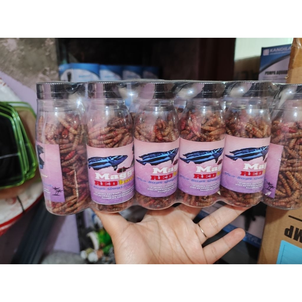 Maggot Kering Pakan Channa yellow red blue Maggot botol