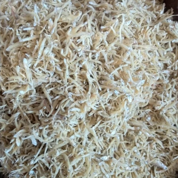 

TERI NASI/TERI MEDAN ASIN 1 ONS (100 GRAM)