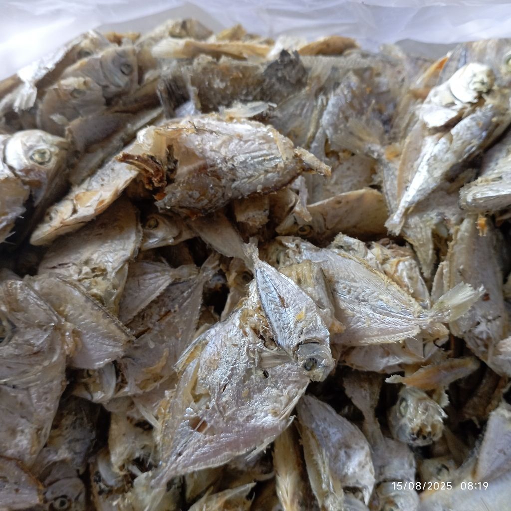 

promo ikan asin petek cue murah