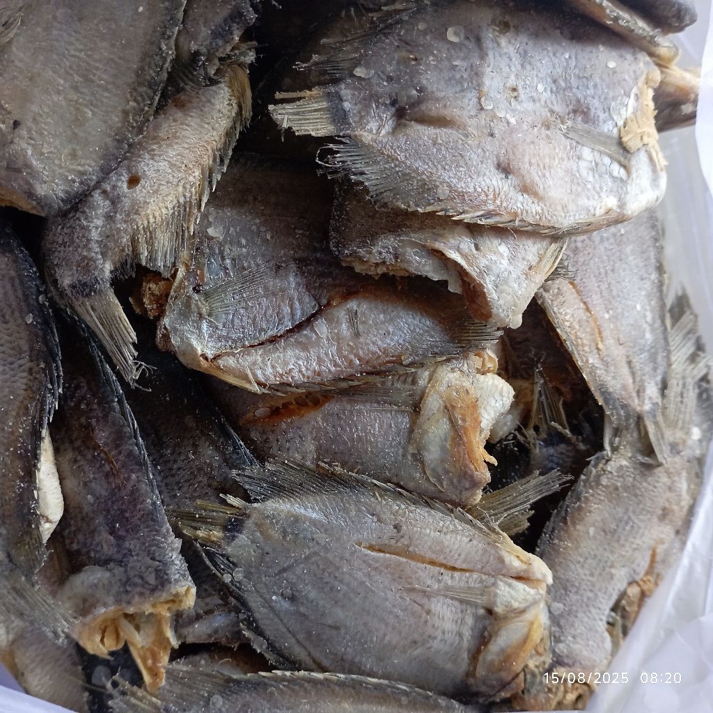 

ikan asin betok murah kemasan 10rb