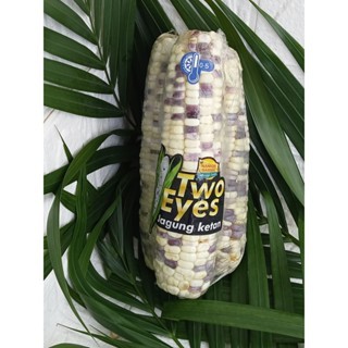

Jagung Ketan Two Eyes Kupas Bersih/Pipil 250gr